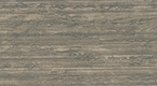 Nordic Silver Birch